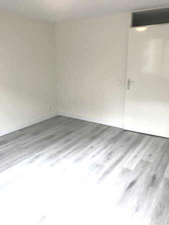 Medium property photo - Jan Pettersonstraat, 3077 MN Rotterdam